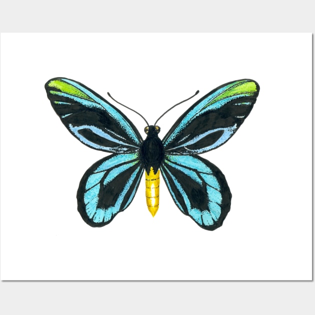 Queen Alexandra' s birdwing butterfly Wall Art by katerinamk